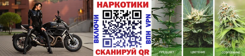 Купить наркотик Сунжа COCAIN MDMA Канабис Мефедрон