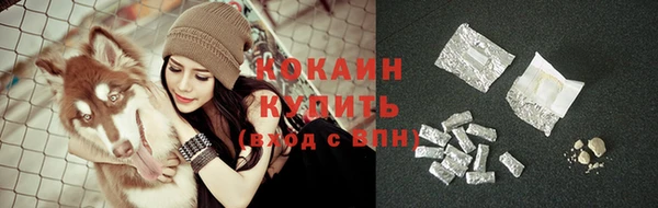кокс Алексин