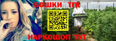 тгк Новокубанск